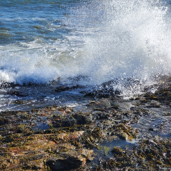 Meet your Posher, Chris - Picture 9 of 11